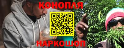 гидра Бузулук